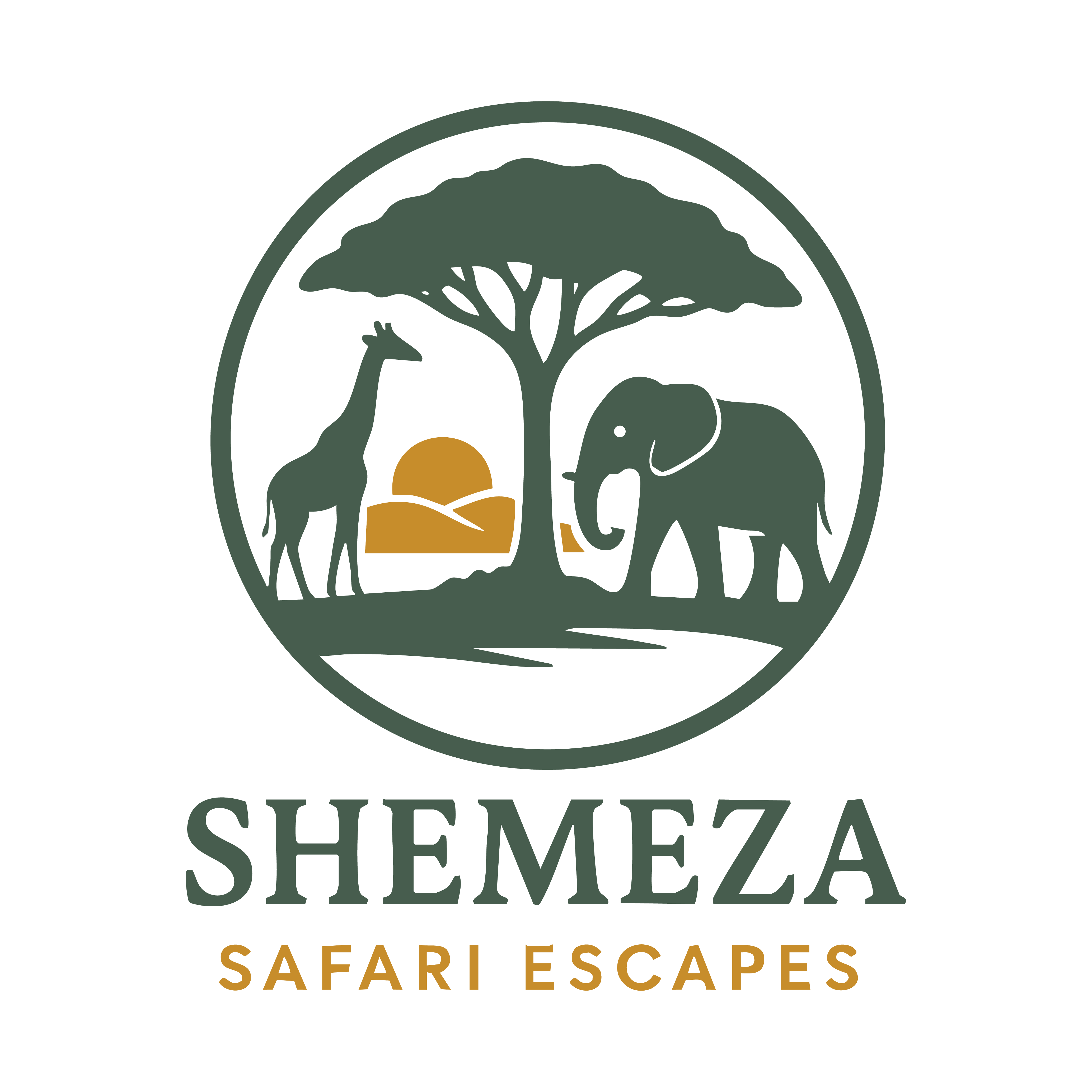Safari Logo